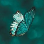 Hypnosis transforms you